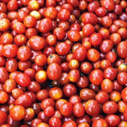 maria-fernanda-gonzalez-567448-unsplash_redigerad-1